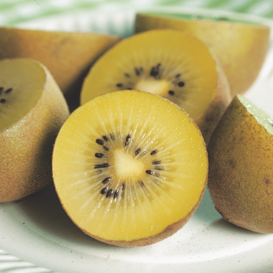 Actinidia deliciosa “Golden” – femmina