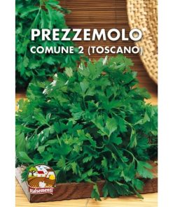 Prezzemolo comune 2 (Semente)